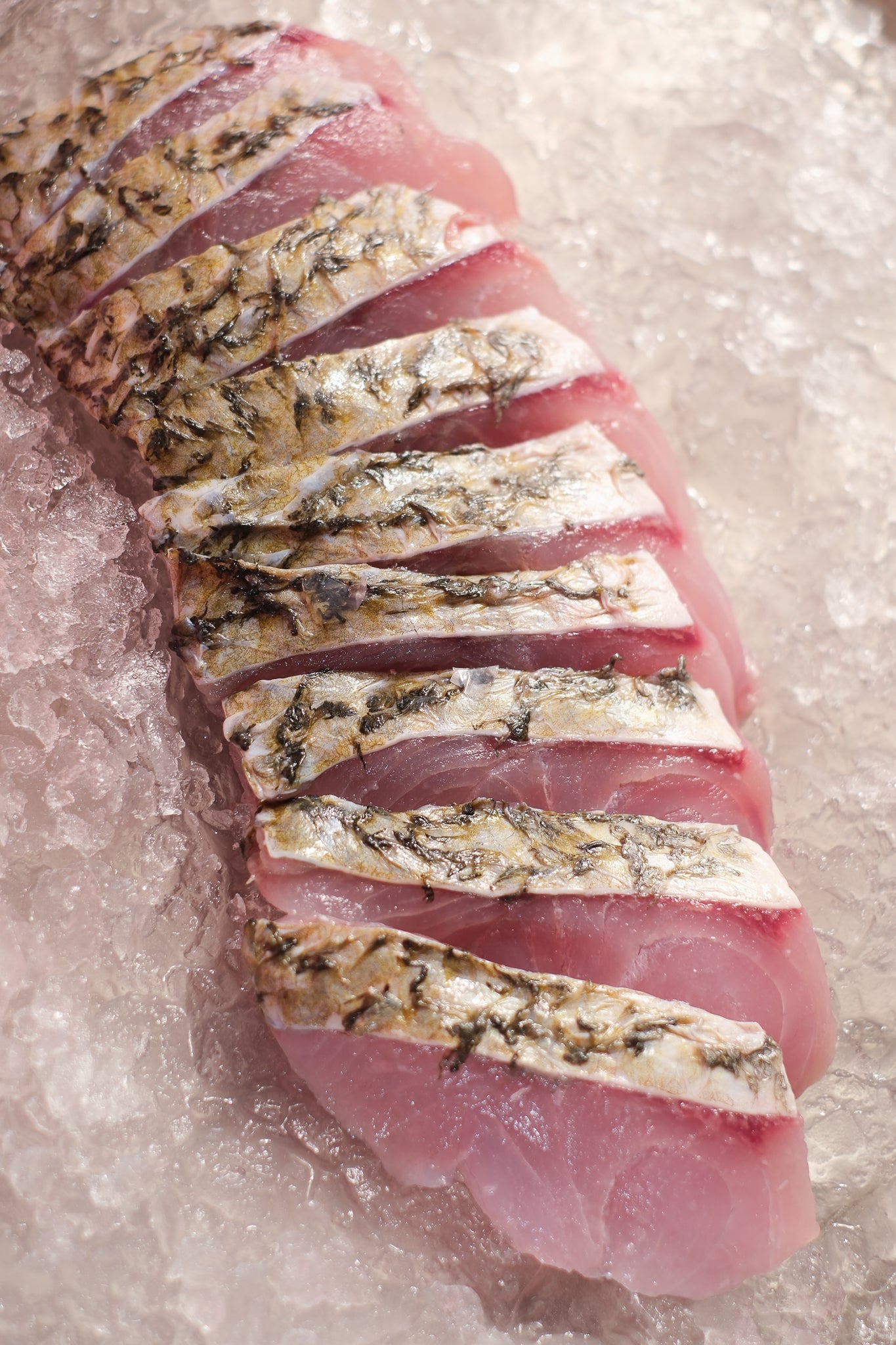 Barramundi (Sea Bass)