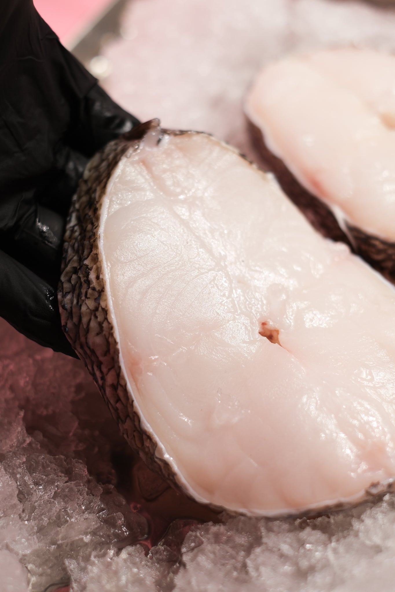 Cod (Chilean Sea Bass)