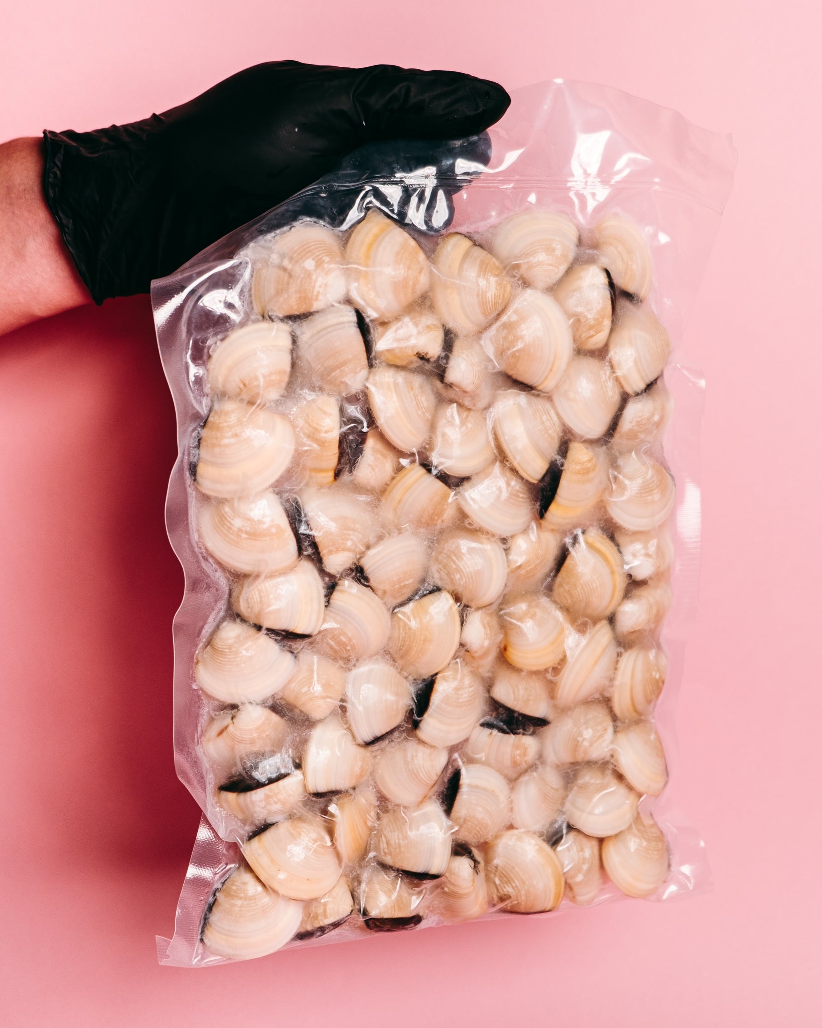 White Clams