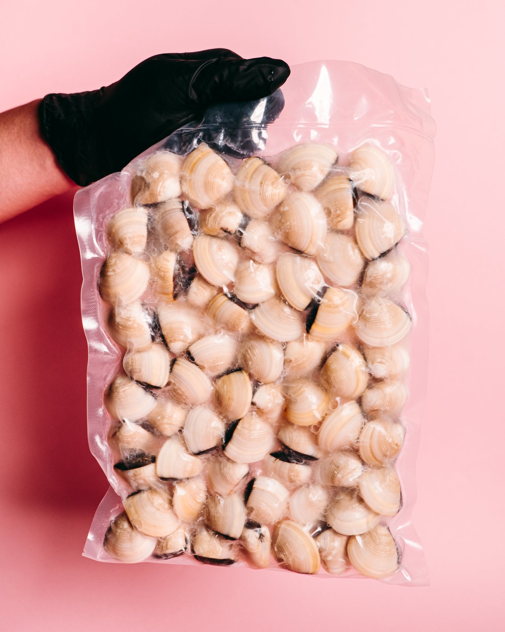 White Clams