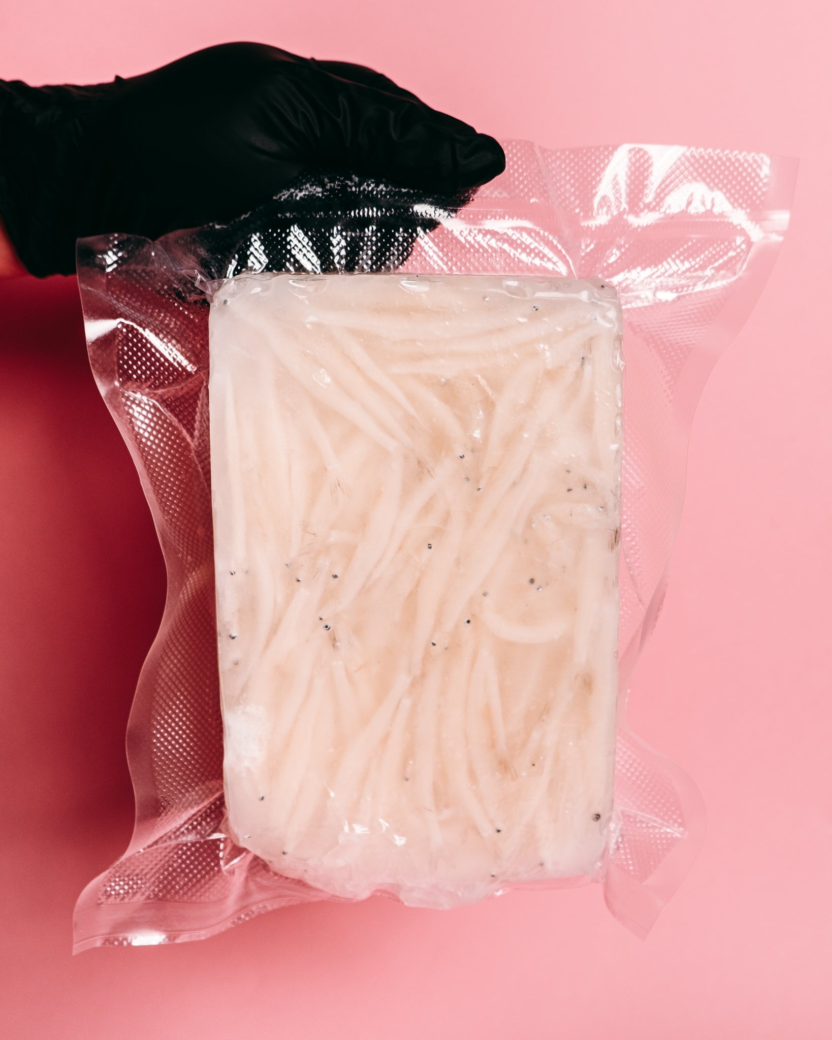 Whitebait