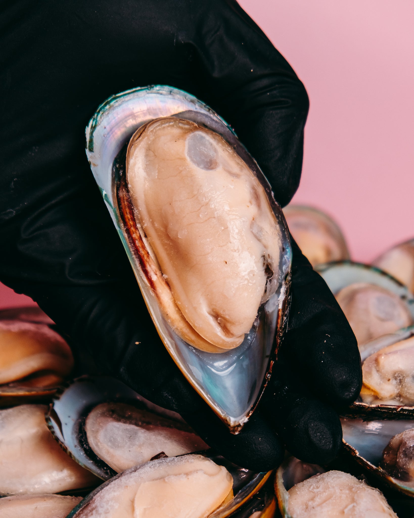NZ Green Mussels (Cooked)
