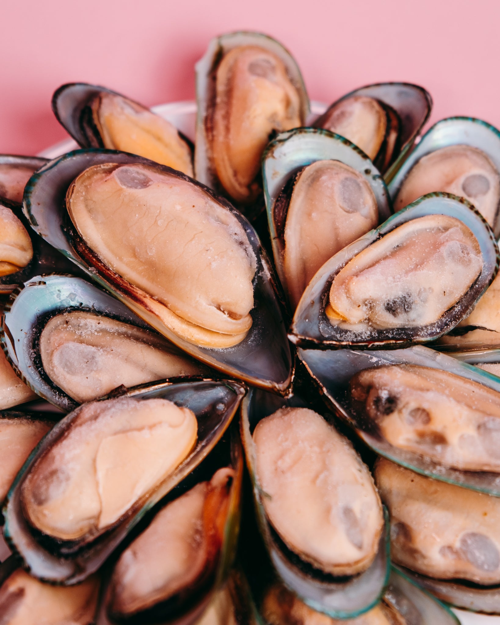 NZ Green Mussels (Cooked)