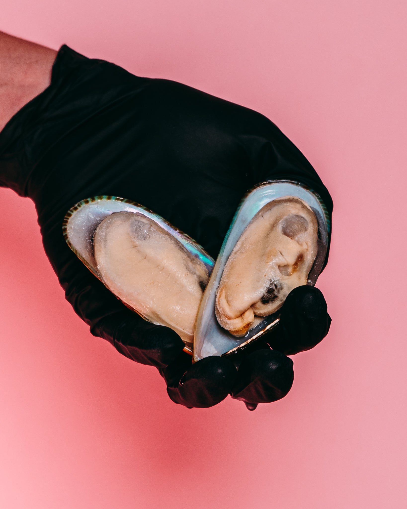 NZ Green Mussels (Cooked)