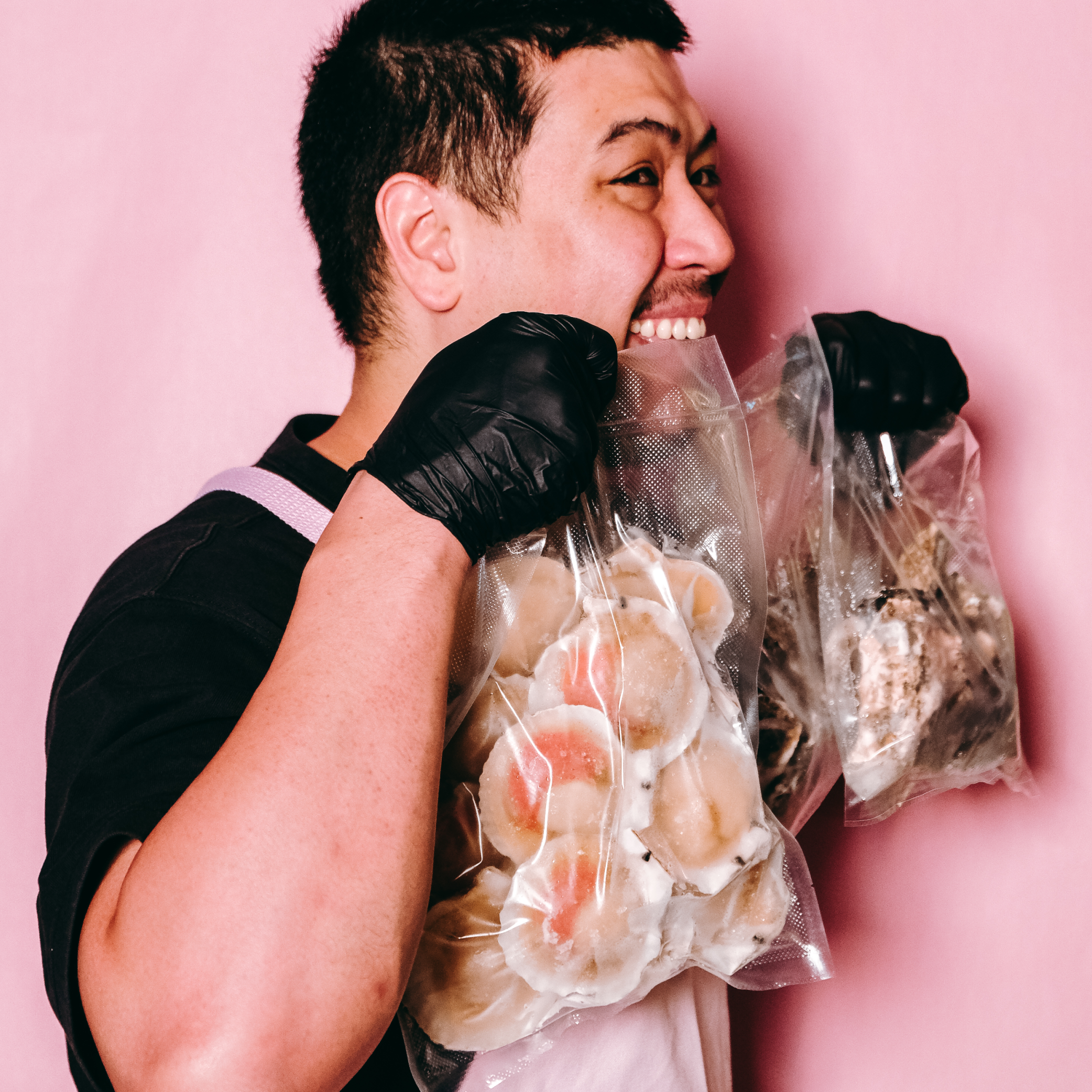 Seashell Seashore Bundle