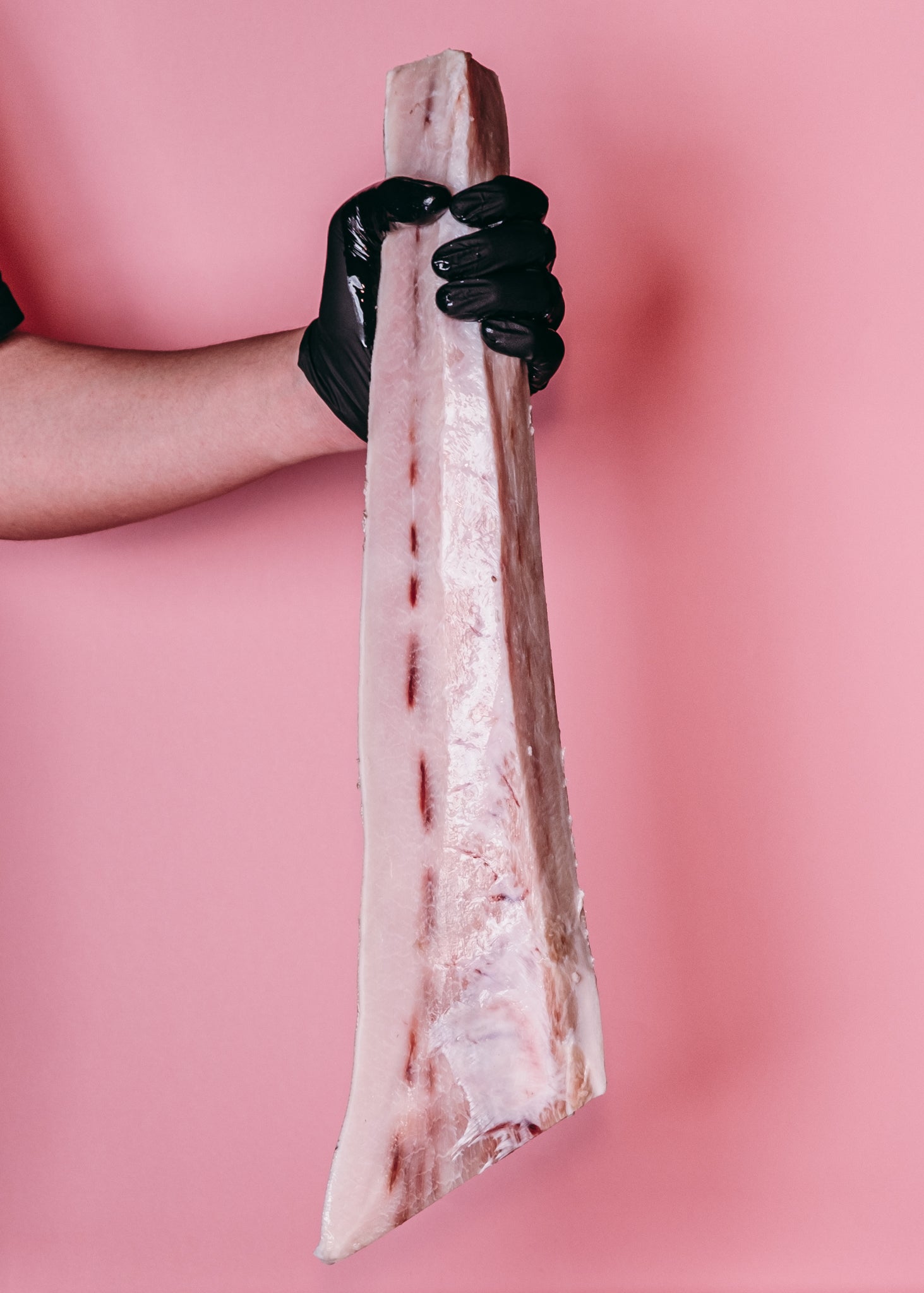 Swordfish Belly (Mekajiki)