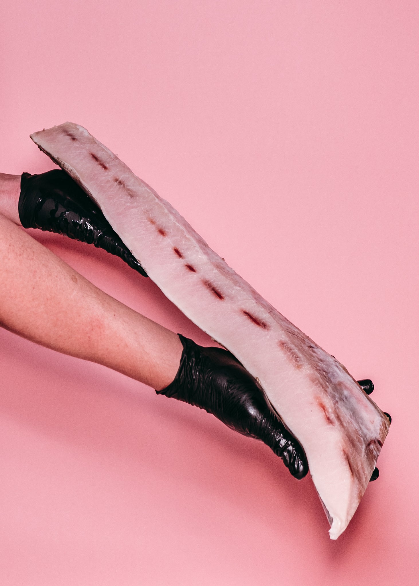 Swordfish Belly (Mekajiki)