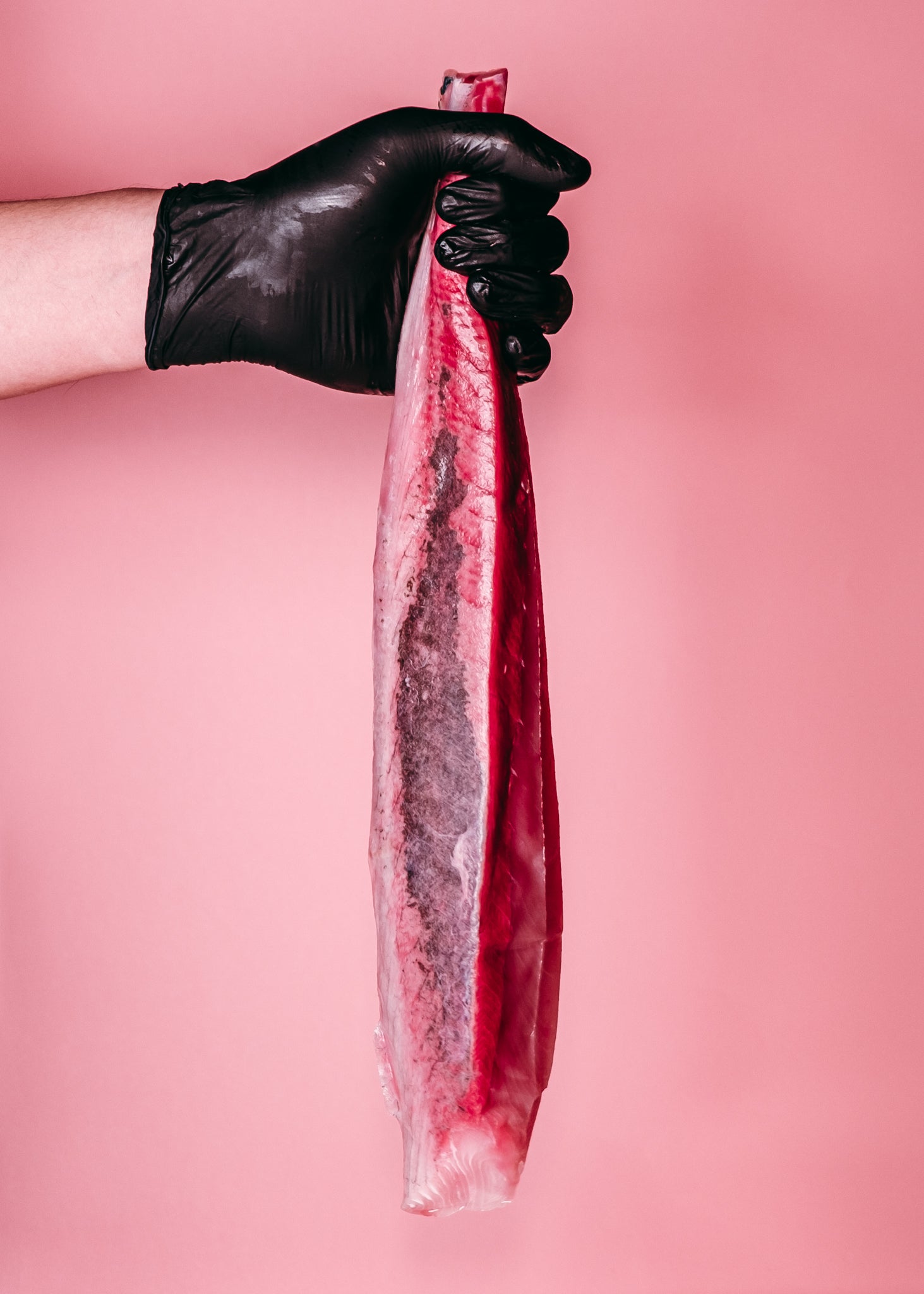 Hamachi (Yellowtail Loin)