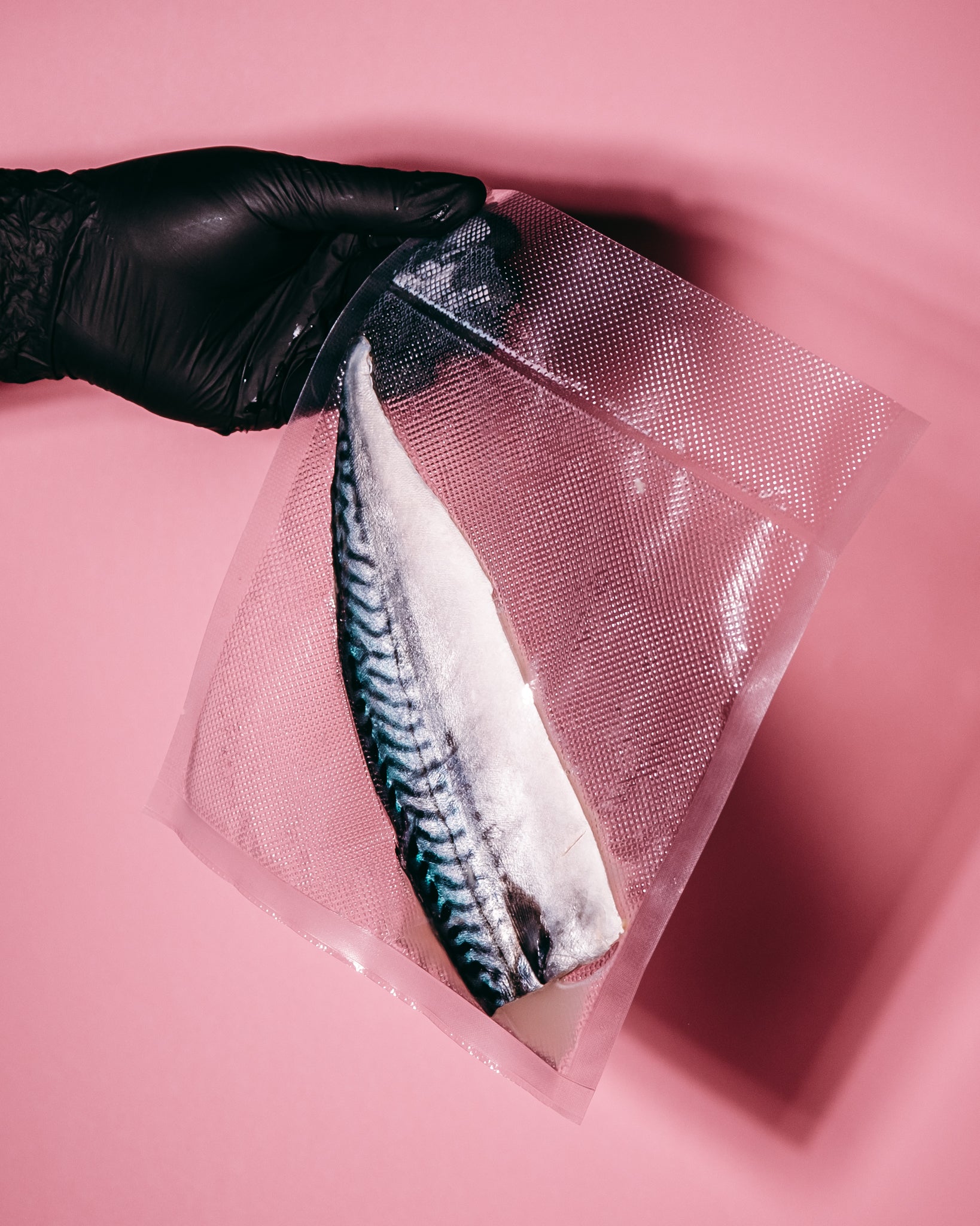 Saba Fillet