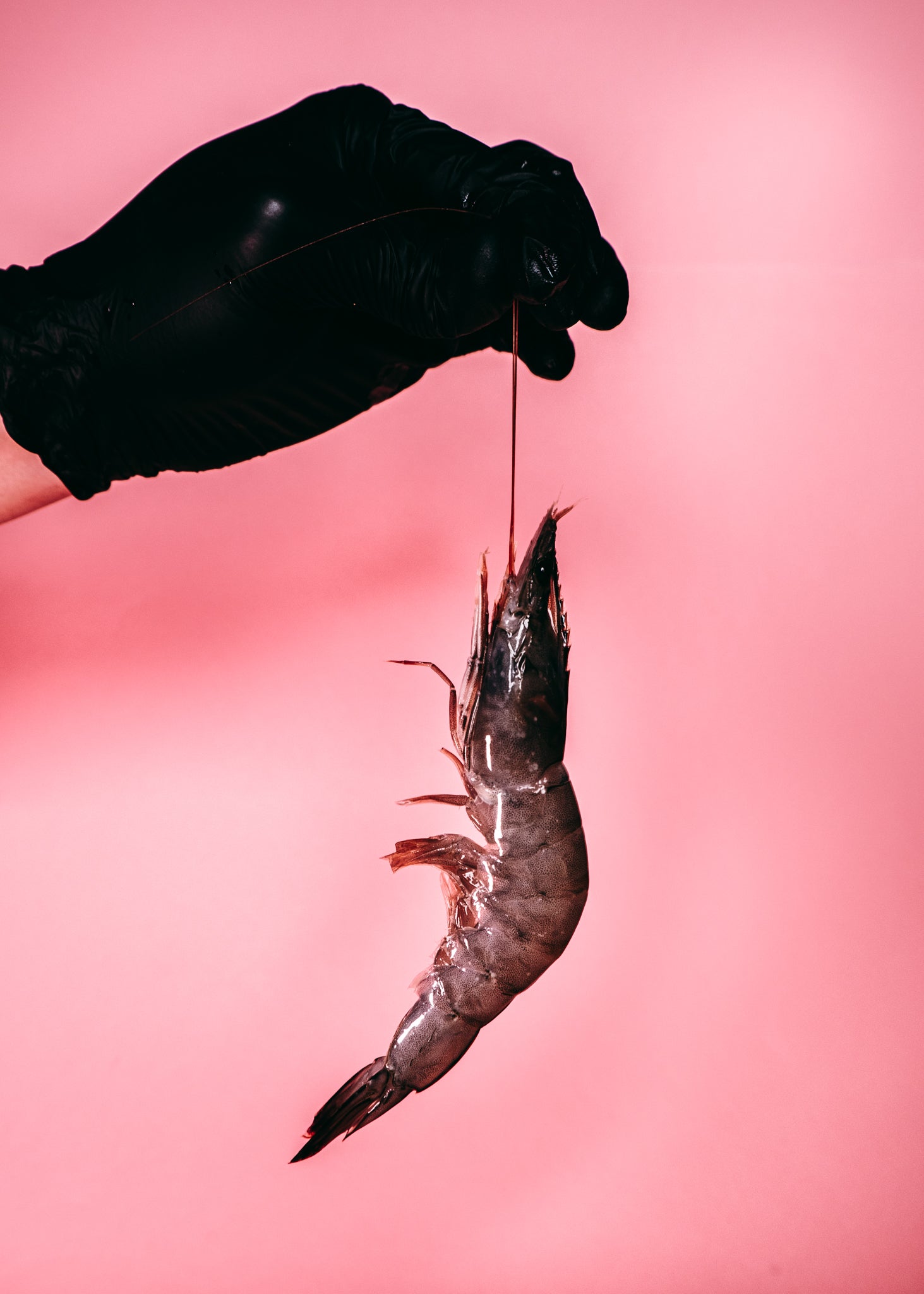 Vannamei Prawns (Head On/Shell On)