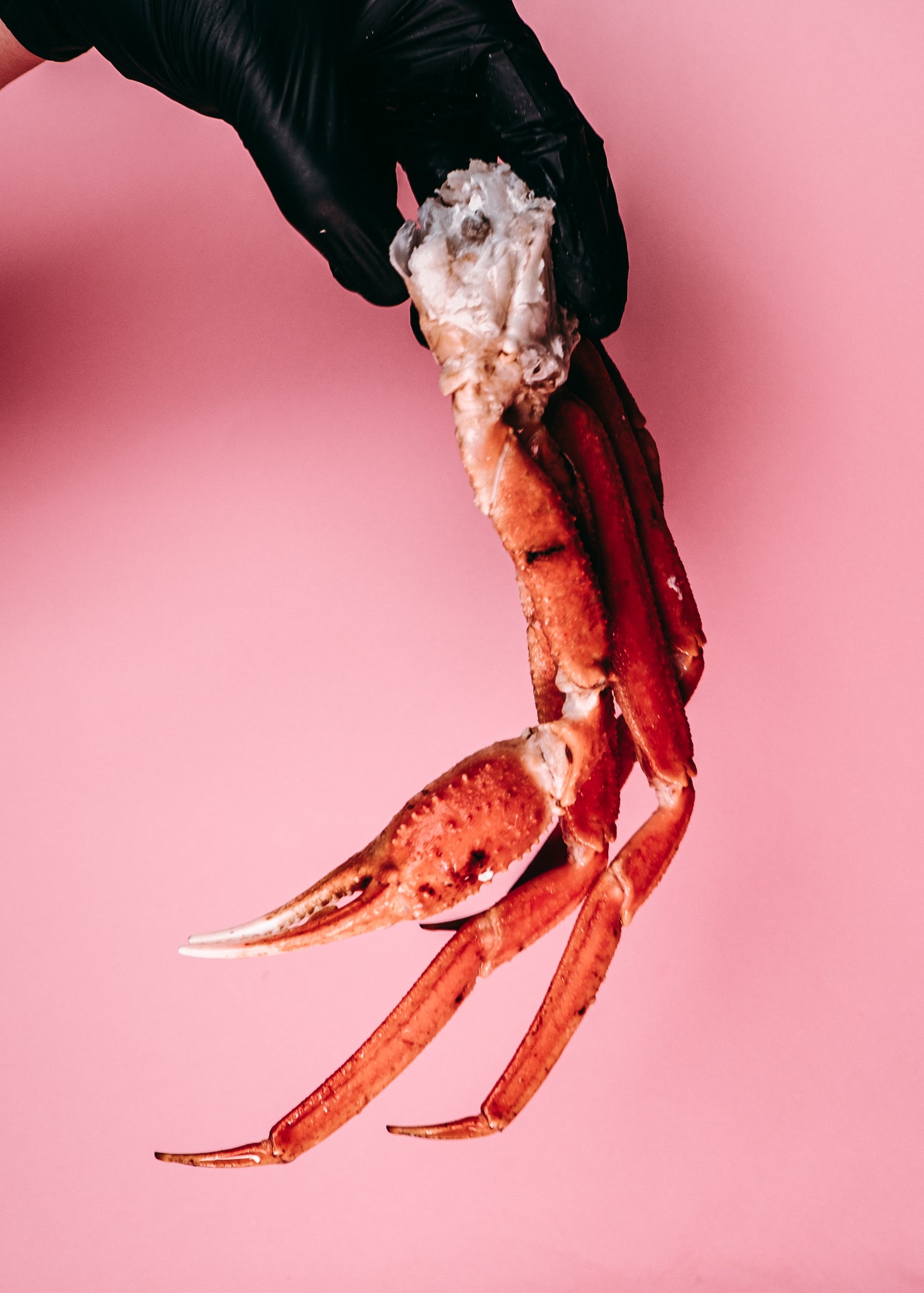 Snow Crab Legs (Cooked)