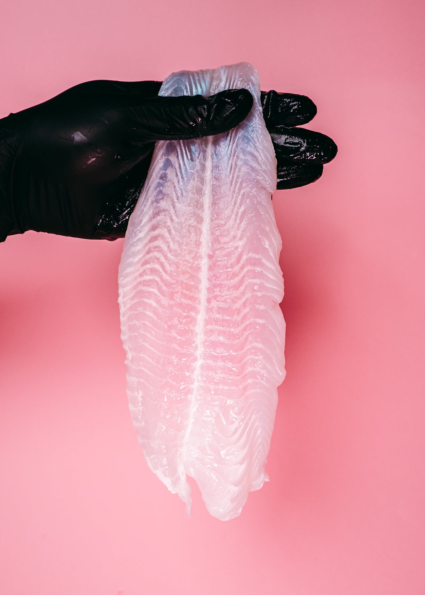 Dory Fillet