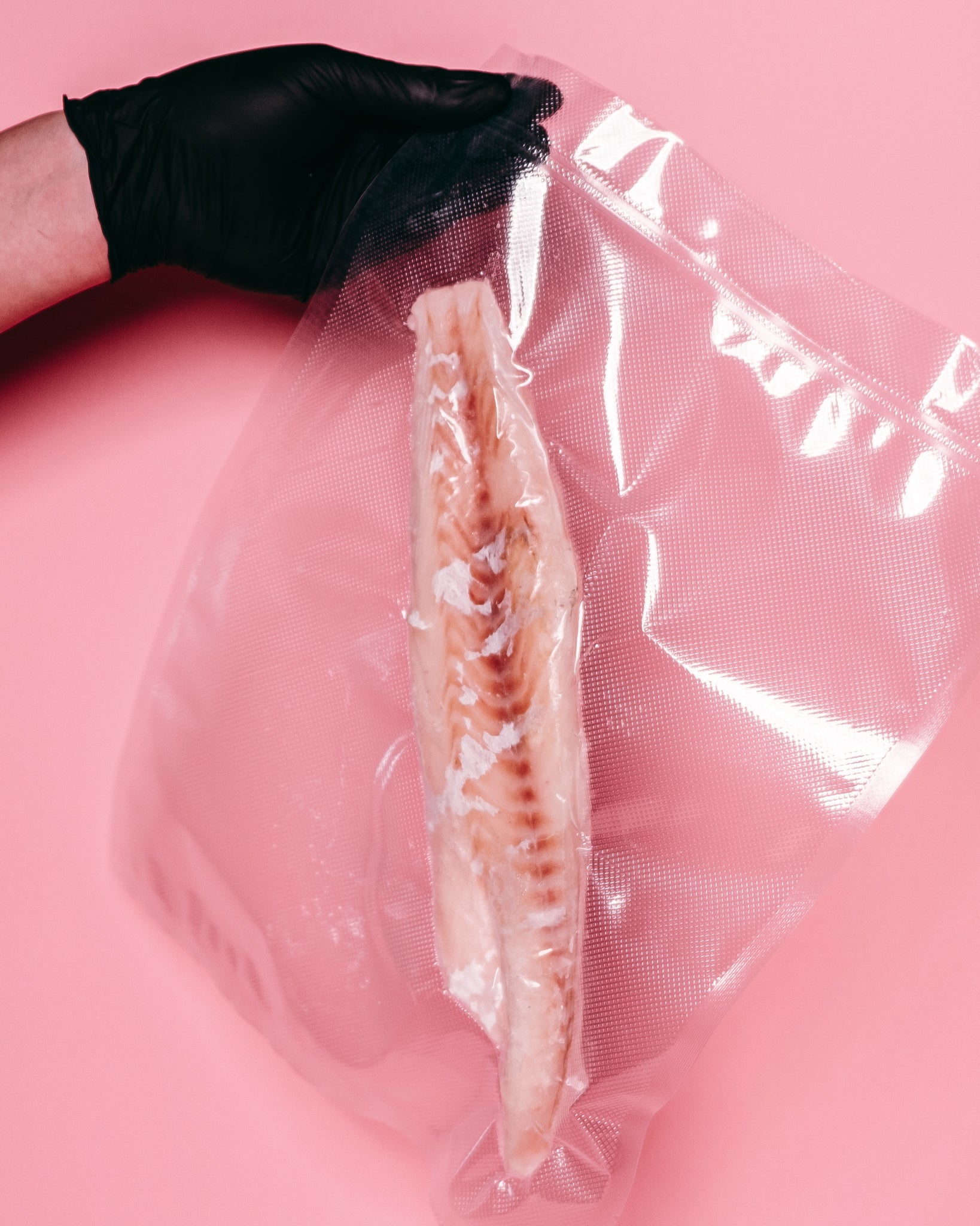 Haddock