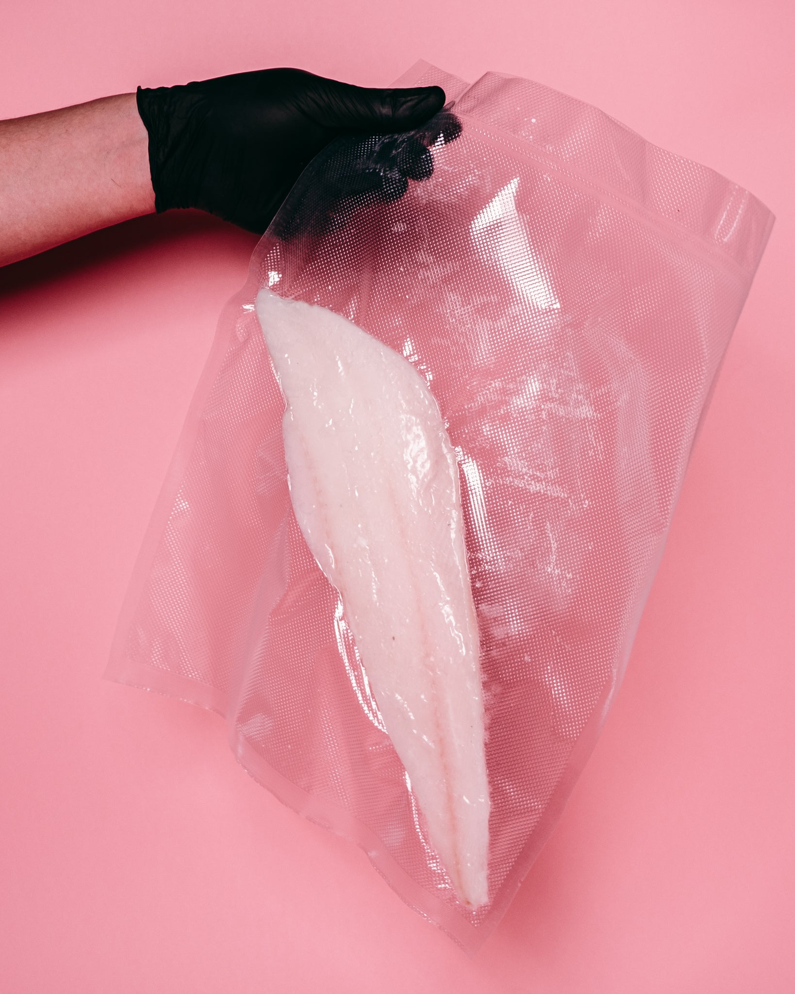 Greenland Halibut