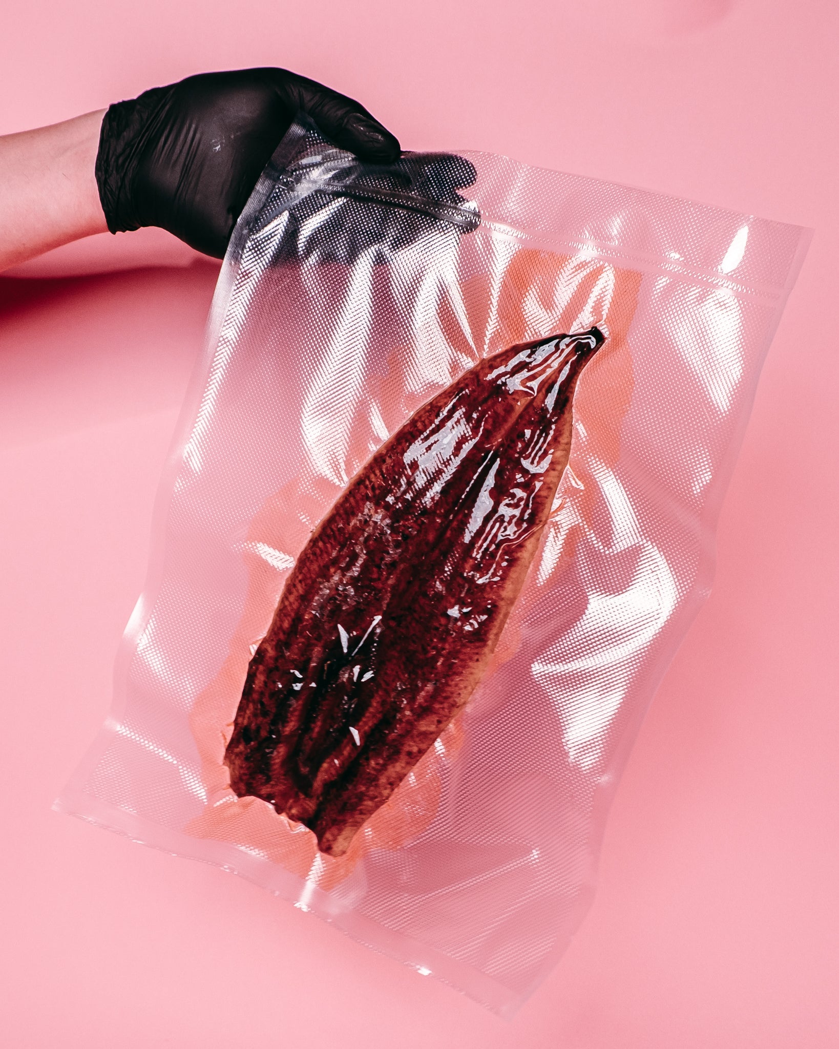 Unagi Kabayaki
