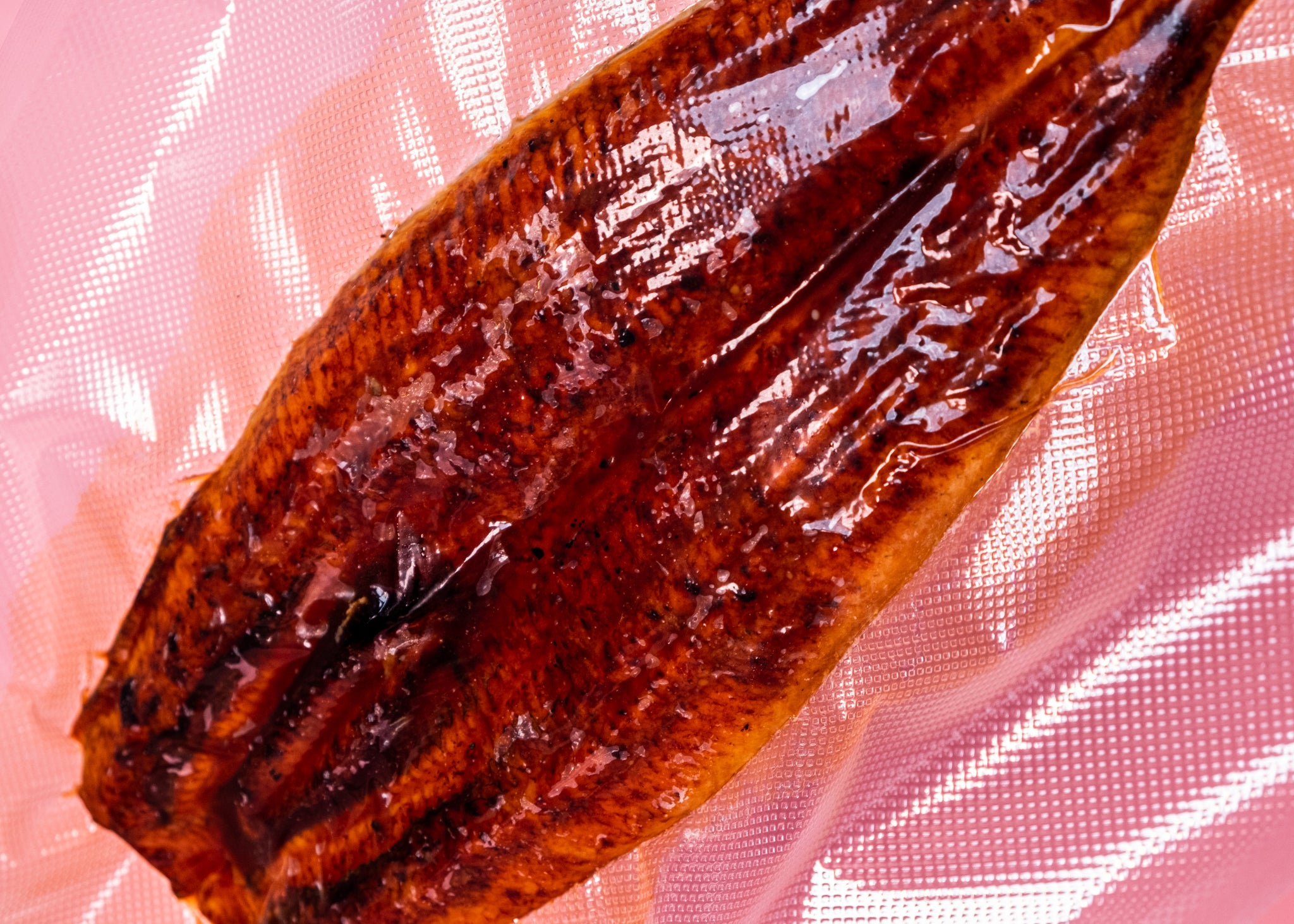 Unagi Kabayaki