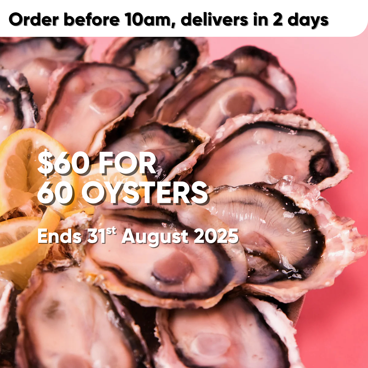 Murotsu Oysters *BESTSELLER*