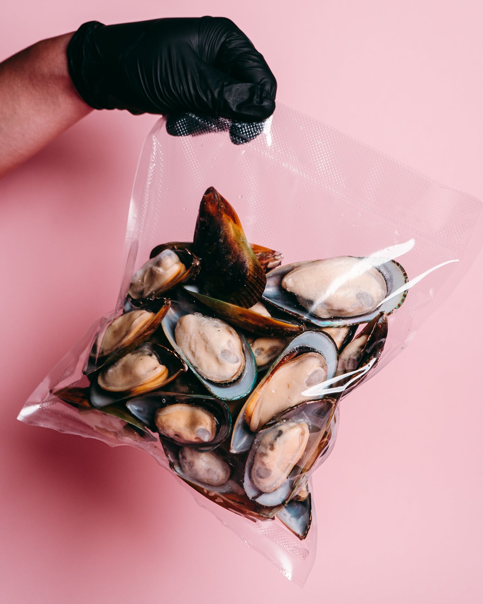 NZ Green Mussels (Cooked)