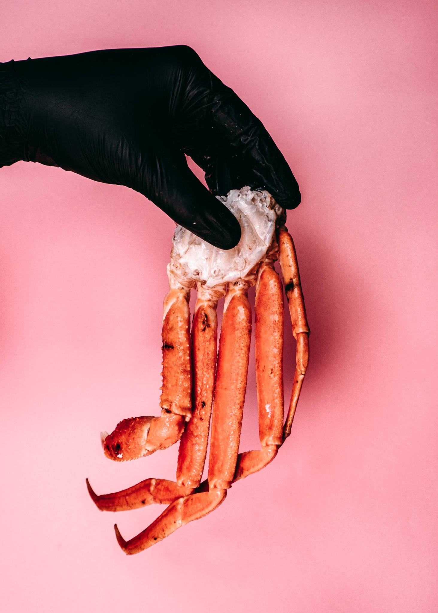 Snow Crab Legs (Cooked)